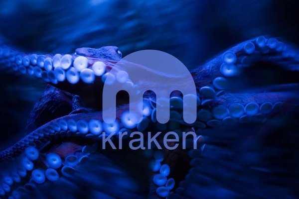 Kraken tor зеркало