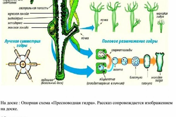 Kraken сайт покупок