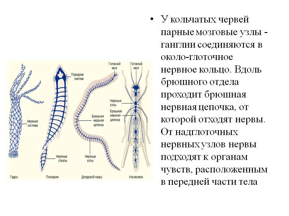 Кракен маркетплейс откуда взялся